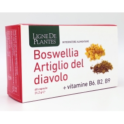 BOSWELLIA E ARTIGLIO DEL DIAVOLO – Ligne de Plantes – 60 capsule