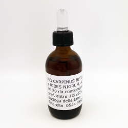 CARPINUS B. + RIBES N. + ALNUS G. – Bottega delle Erbe – 100 ml